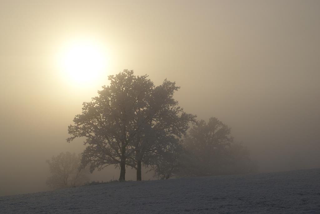 Penzion U Cerneho Potoka Nová Lhota Exterior foto